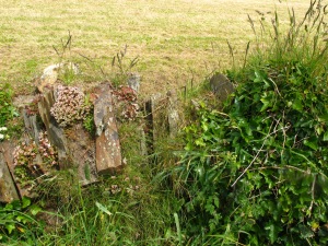 A bit of stone wall, partially grown over
