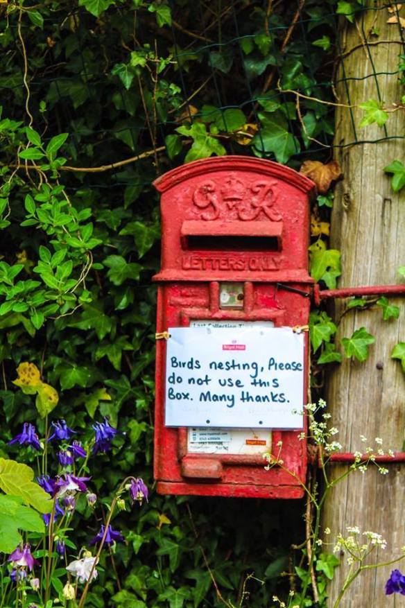 Irrelevant photo: Birds nesting in postal box, by D.L. Keur. Some of you will have already seem this--I posted a link last week. But D.L. was kind enough to email me the photo so no one can escape. Thanks, D.L. Much appreciated.