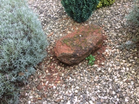 Bonus relevant photo: A single stone, carefully placed in the same yard, which I'd call a garden if I weren't, at heart, American. Our best guess is that that the wall was hit when Exeter was bombed during World War II.